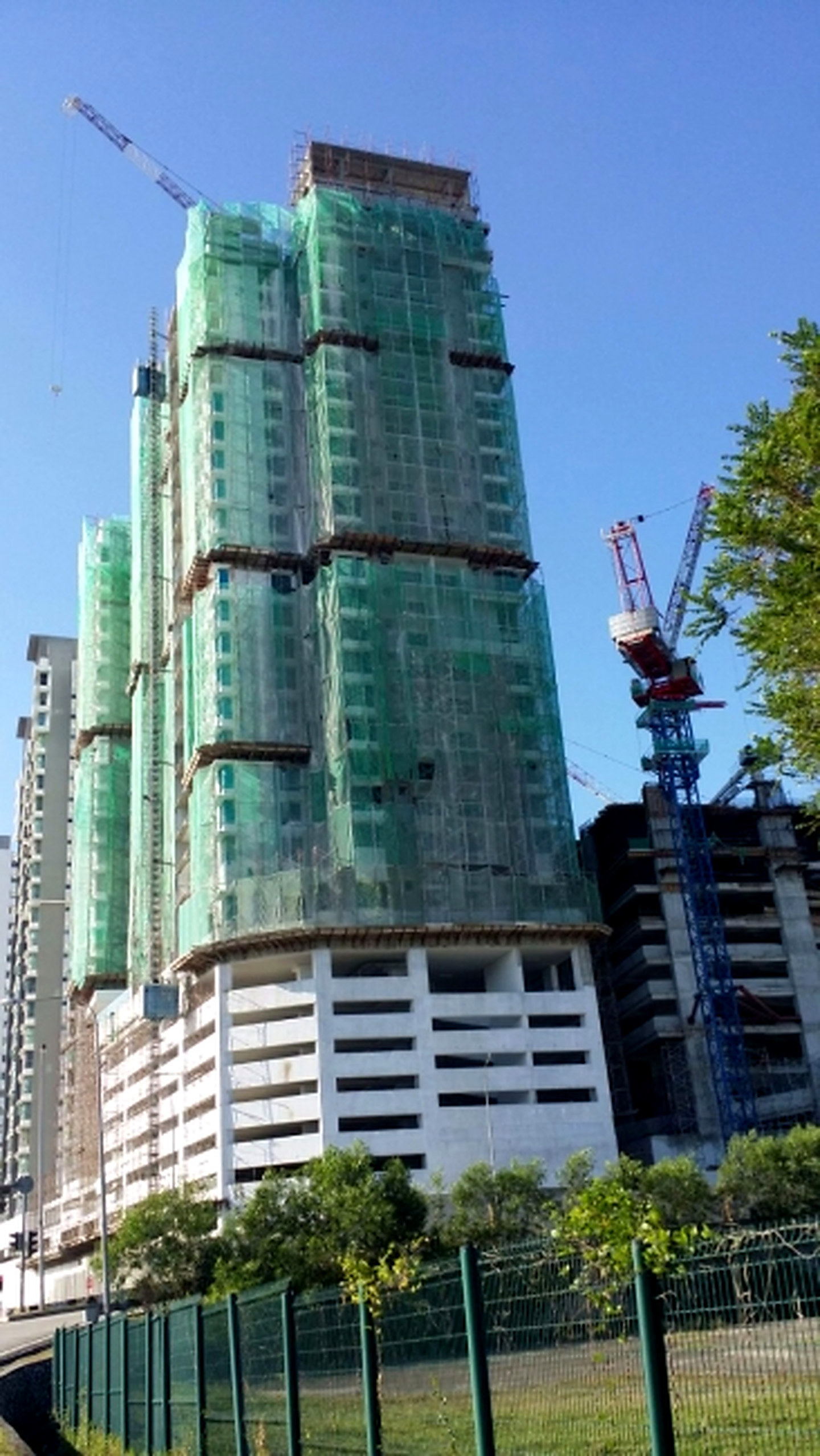 Residensi Flora project photograph 2