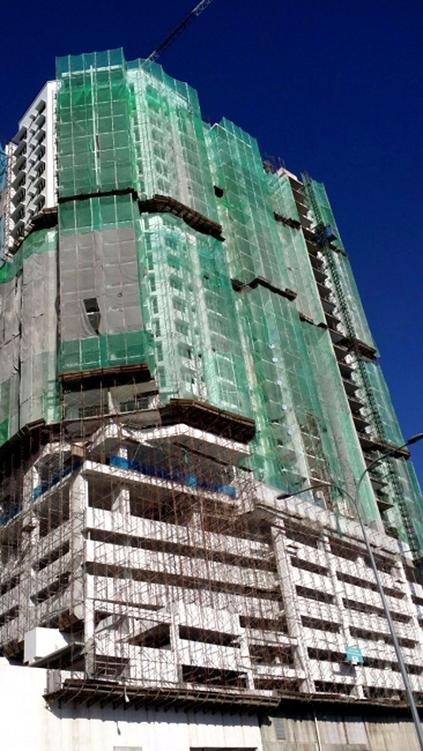 Residensi Flora project photograph 3